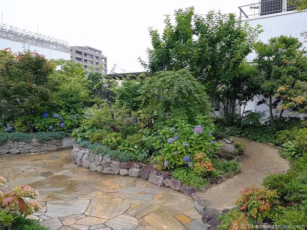 Photo of Odawara Station | Lasca Sky Garden U-me Terrace 6