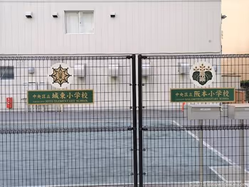 Johto Elementary School and Sakamoto Elementary School