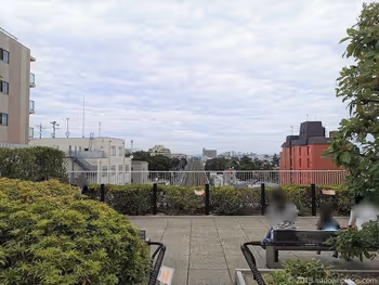 成城コルティ4F屋上庭園雑木林の丘のベンチとテラス