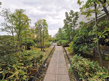 成城コルティ4F屋上庭園雑木林の丘