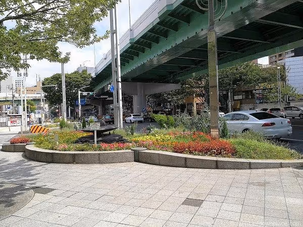 柳橋交差点 花壇の写真1