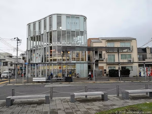 駅前広場の写真3