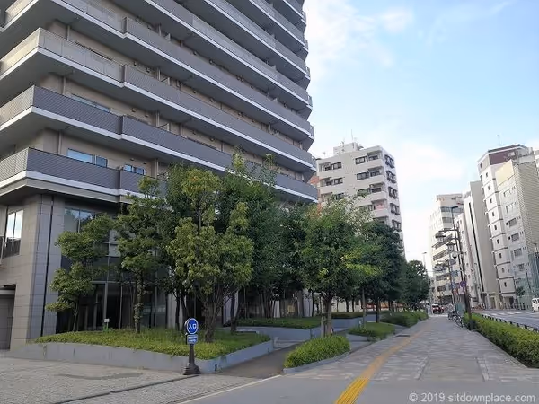 池之端門付近 不忍通り沿いの写真2