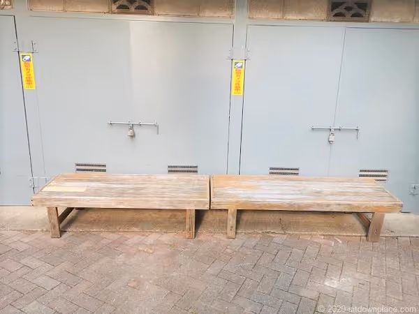 猿田彦大神巣鴨庚申堂の写真3