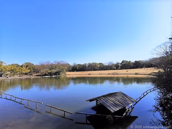 Foto di 多摩中央公園 1