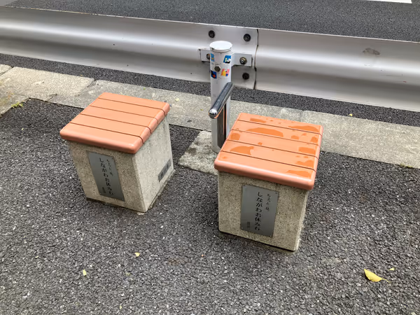 Photo of Meguro Station | Below Across Meguro Tower 2