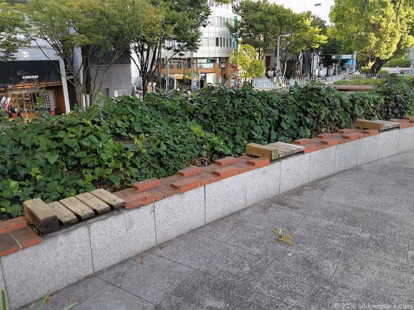 エンゼル広場の写真2