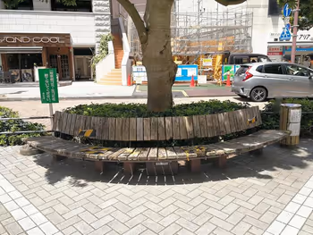 浜松駅エクセル浜松前通りの木製ベンチ