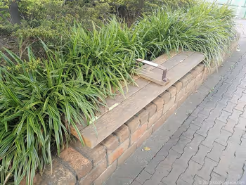 Benches in Futako-Tamagawa Station Keyaki Green Space 1