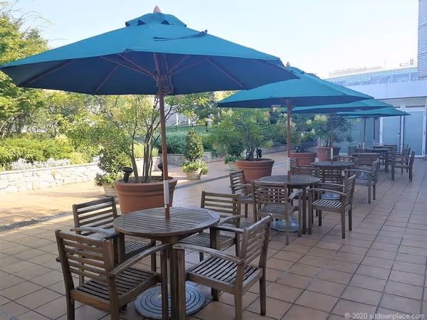 高島屋本館屋上 フォレストガーデンの写真3