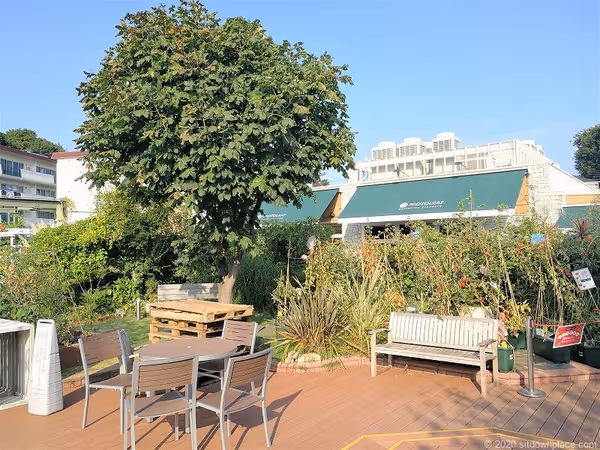 ガーデンアイランド 屋上庭園の写真6