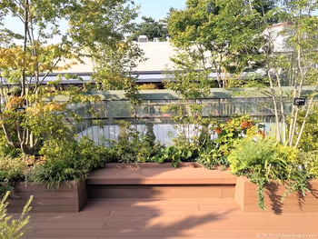 二子玉川駅 ガーデンアイランド屋上庭園のベンチ1