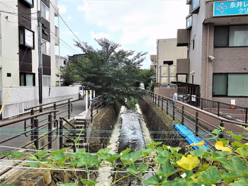 武蔵小杉駅 今市橋にかっぱ君前の外観1