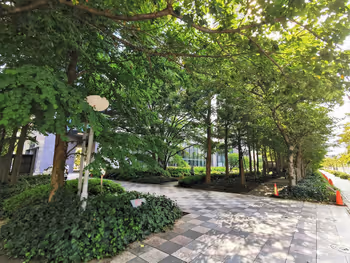 武蔵小杉駅 タワープレイス公開空地の外観3