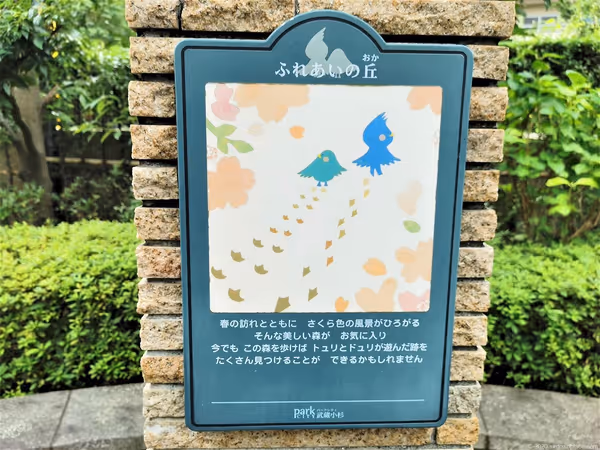 ふれあいの丘の写真5