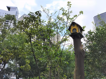 武藏小杉站 抚爱之丘的小鸟小屋