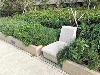 武蔵小杉駅 パークシティ ザ・ガーデン 屋上広場の石材イス横から