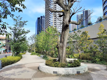 武蔵小杉駅 パークシティ ザ・ガーデン 屋上広場の外観2