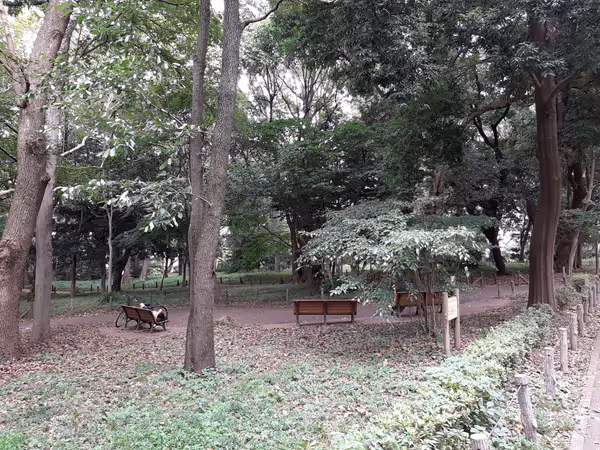 Photo of Musashikoyama Station | Tokyo Metropolitan Forest Research Institute Forest Park 2