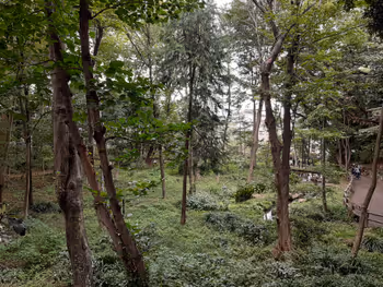 린시노모리 공원의 녹음이 풍부한 원내