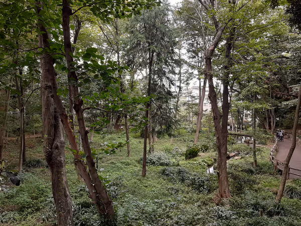 Photo of Musashikoyama Station | Tokyo Metropolitan Forest Research Institute Forest Park 3