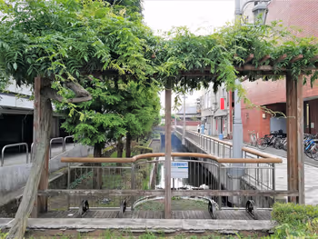 釜川プロムナード 馬場通り付近の写真2