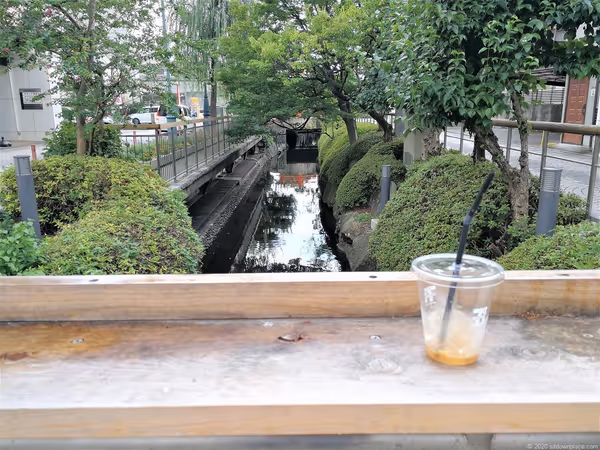 釜川プロムナード ロマンチックドームの写真2