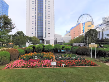 後楽園駅 礫川公園の花壇1