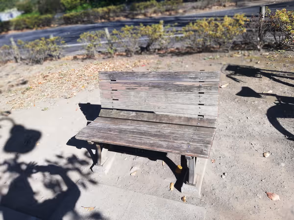 野川緑地広場の写真1