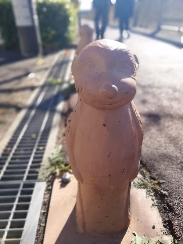 野川緑地広場の写真4