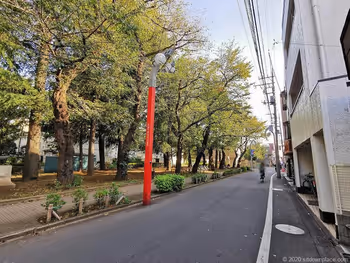 通往祖师谷大藏站FamilyMart丸石祖师谷店的街道