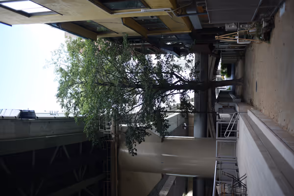 東横堀川左岸遊歩道 本町橋南の写真5