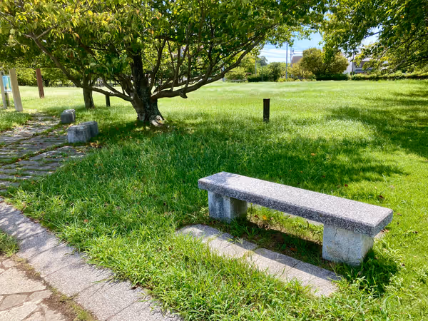 蟠龍櫓付近の写真3