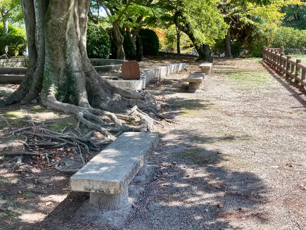 九華公園(花菖蒲園・野外ステージ付近)の写真1