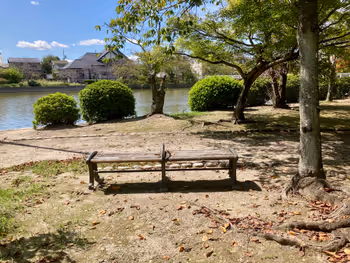 【西桑名站】九华公园(二之丸遗址附近)的图片6