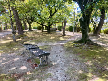 【西桑名站】九华公园(二之丸遗址附近)的图片1