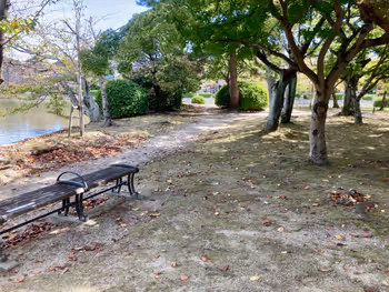 【西桑名站】九华公园(二之丸遗址附近)的图片5