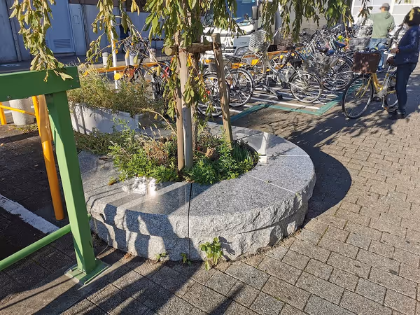 南口ふれあい側道の写真2