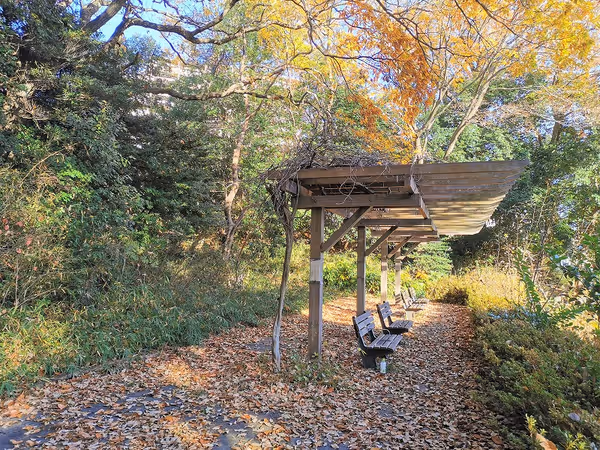 万福寺おやしろ公園 みんなの丘の写真4