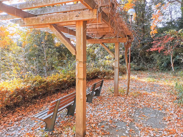 万福寺おやしろ公園 みんなの丘の写真5