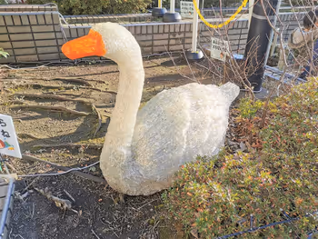 新百合丘車站 行人專用甲板的休息場所的雕塑2