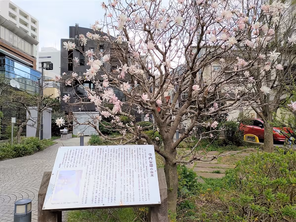 Photo of Kagurazaka Station | Rest Spot at Terauchi Park 2