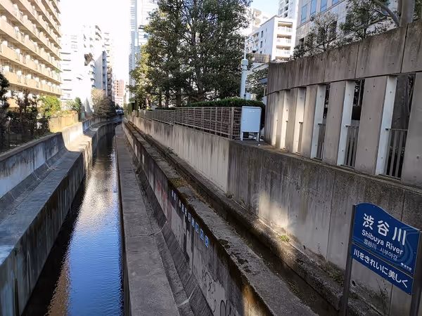 渋谷川 あいおいニッセイビル前の写真5