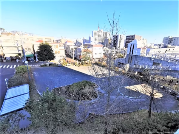 新子安公園の写真1