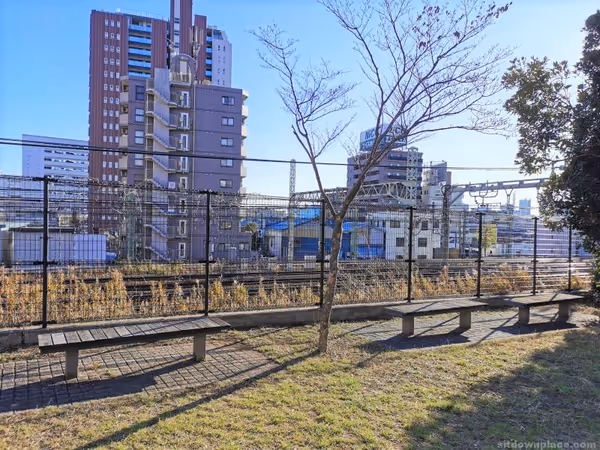 新子安さくら公園の写真4