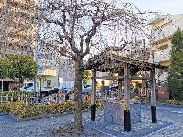 聖蹟公園の写真6