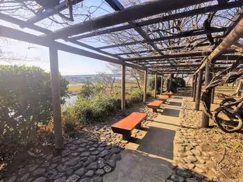 二子玉川駅兵庫島公園 ひょうたん池側の休憩場所その2