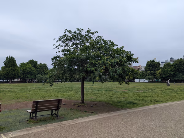 Foto von 桃井原っぱ公園 6