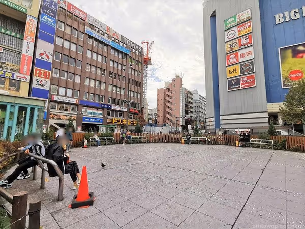 Photo of Takadanobaba Station | Rest Spot Near the Station | Roundabout Goddess Statue 2