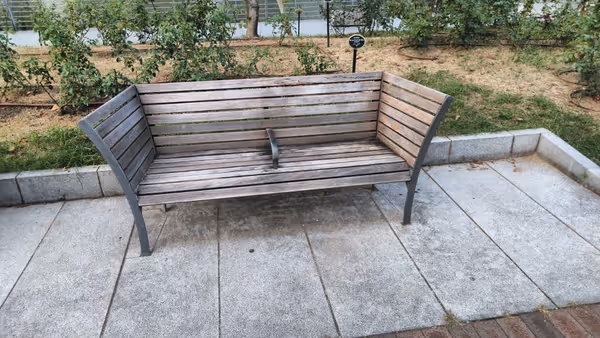 中之島公園 バラ園の写真4